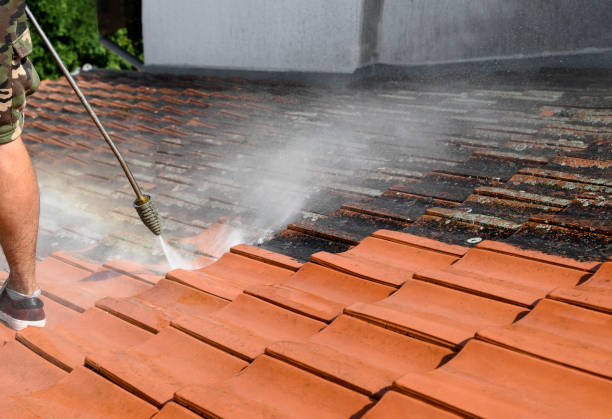 Best House Pressure Washing  in Bainbridge, PA