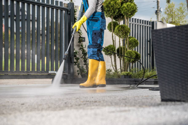 Best Roof Power Washing Services  in Bainbridge, PA