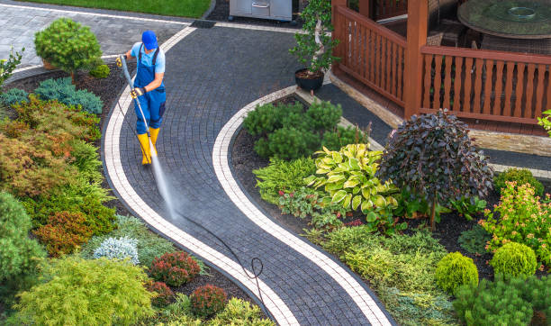 Best Roof Pressure Washing  in Bainbridge, PA